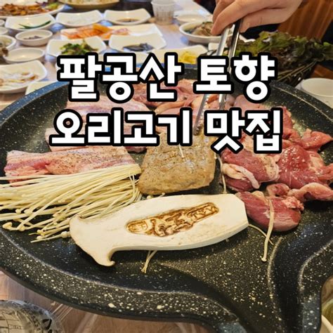 팔공산 토향 오리고기 맛집 우리 가족 몸보신하기 좋은 식당 네이버 블로그