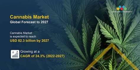 Global Cannabis Market Size And Forecast Latest