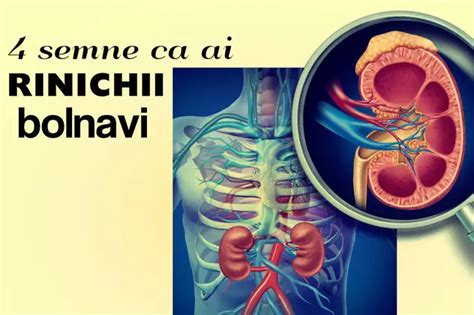 Cum Ştii DacĂ Ai Rinichii Bolnavi Vezi Simptomele Bolilor Renale