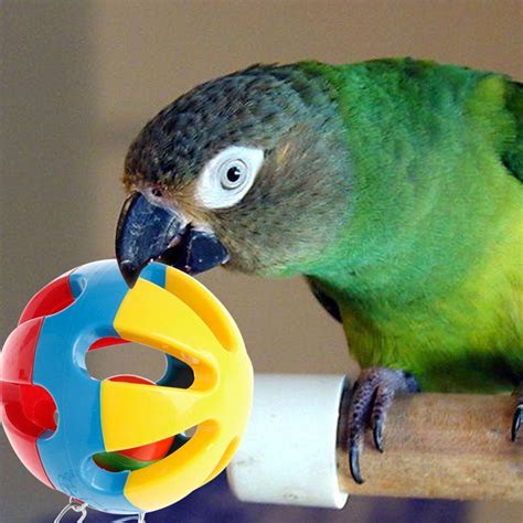 Buy Pet Bird Bites Toys Parrot Chew Ball Swing Cage Hanging Cockatiel