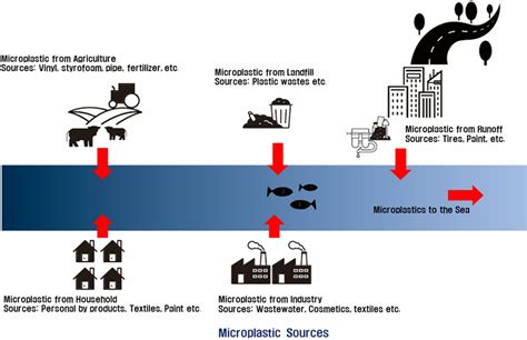 Water Free Full Text Review Of Microplastic Distribution Toxicity Analysis Methods And