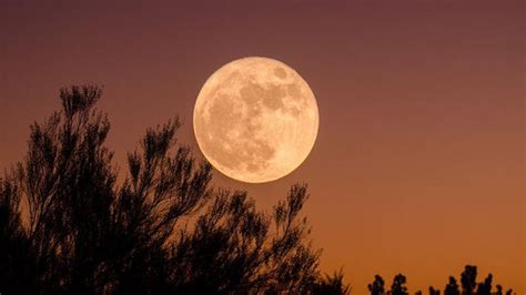 Superluna de Sangre Lobo 2019 EN VIVO hora por país para ver eclipse