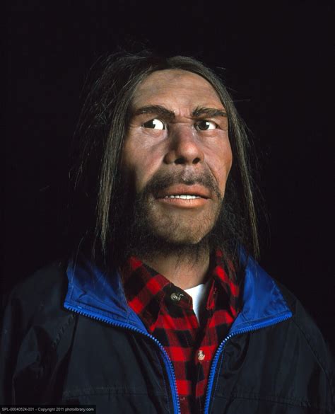 Model Of A Neanderthal Man Homo Sapiens Neanderthalensis Dressed In