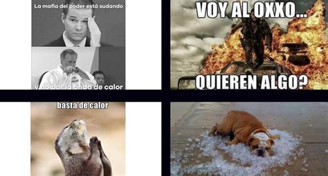 Memes Por Fuerte Ola De Calor En México