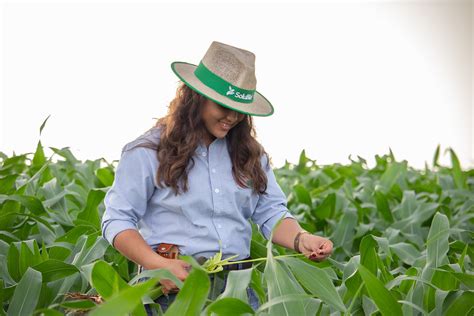 Por Qu Fazer Manejo Biol Gico Na Agricultura