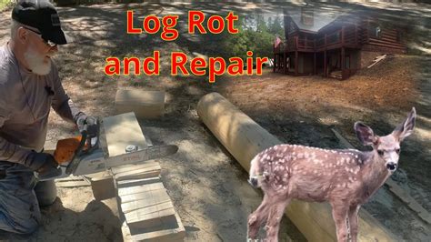 Log Cabin Rotted Log Repair Youtube