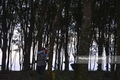 Bajet Pekebun Kecil Getah Felda Turut Terima Bmt Rm Pm