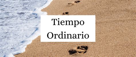 XVI Tiempo Ordinario Ciclo B