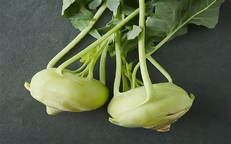 How To Grow Kohlrabi Plants A Step By Step Guide