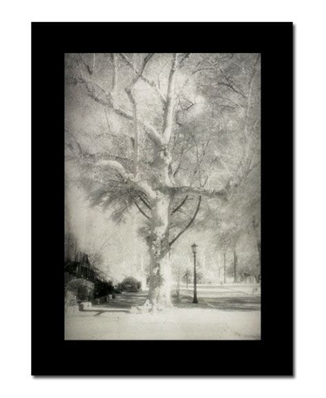 Grafix Double Tack Acid Free Mounting Film Jerrys Artarama