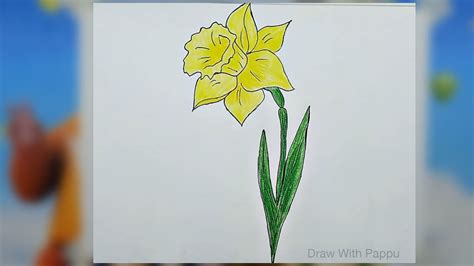 Daffodil Flower Drawing Easy | Best Flower Site