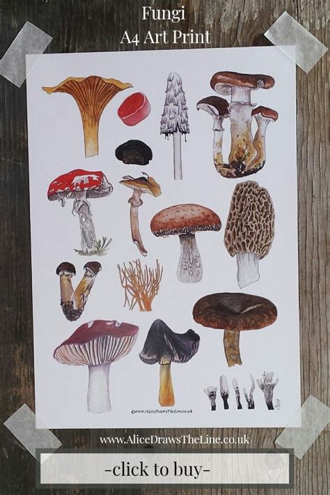 Fungi Art Print By Alice Draws The Line Featuring A Range Of Mushroom