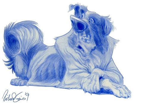 17 Best Images About Animal Caricatures On Pinterest Happy Birthday