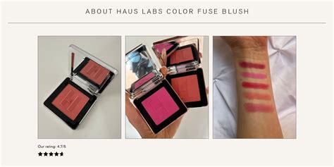 Reviewed Haus Labs Color Fuse Blush Who What Wear