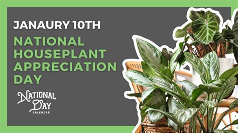 NATIONAL HOUSEPLANT APPRECIATION DAY January 10th National Day