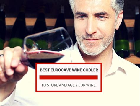 The Best Eurocave Wine Coolers Of 2023 Top Recommendations And Guide Wine Cooler Wine Wine