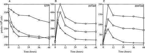 The Stringent Response In Myxococcus Xanthus Is Regulated By Soce And