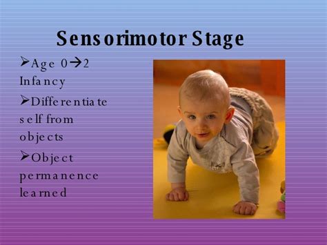 Piagets Theory Sensorimotor Stage