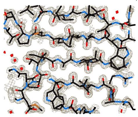 6 Electron Density Map With Atomic Coordinates From A Brief