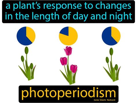 Photoperiodism - Easy Science | Easy science, Science, Flashcards