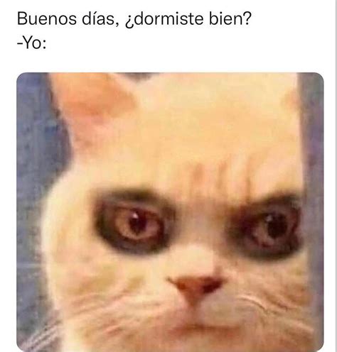 Yo después de 10 bajones de ánimo 5 crisis existenciales y 3 lloradas