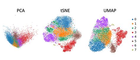 Unlocking Biological Insights A Comprehensive Guide To UMAP In Scanpy