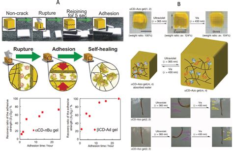 A Schematic Representation Of Selfhealing Material The Original