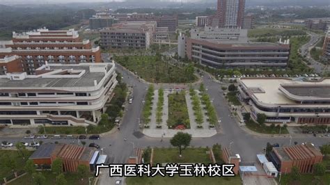 广西玉林市仅有一本大学，据说比985和211要求高，可以容纳一万多名学生 Youtube