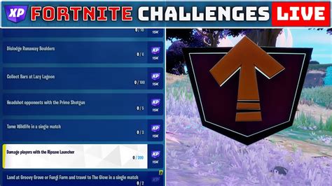 STREAMED FORTNITE CHALLENGES WEEK 12 Season Quests Level Up Tokens