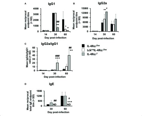 The Effect Of L Donovani Infection On The Antibody Response Of L