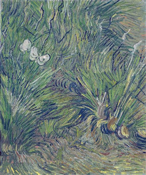 Two White Butterflies 1889 Painting By Vincent Van Gogh Pixels