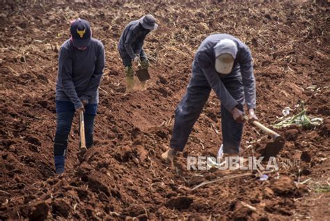 Lahan Eks HGU Pabrik Gula Subang Disertifikatkan Untuk Masyarakat