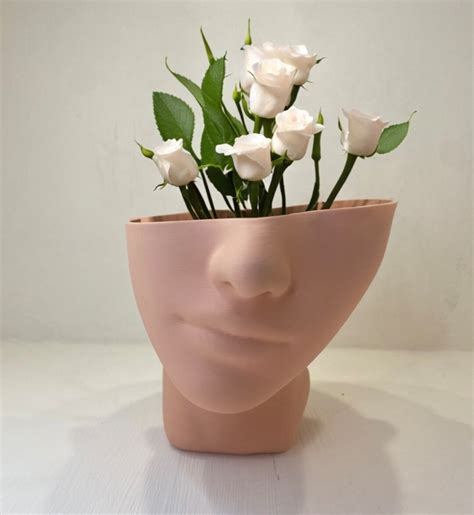 Pot De Fleur Visage Face Flower Pot Etsy