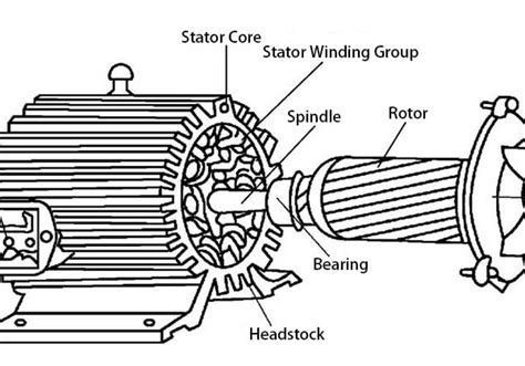 How are the stator and rotor of a motor defined? What are the roles of ...