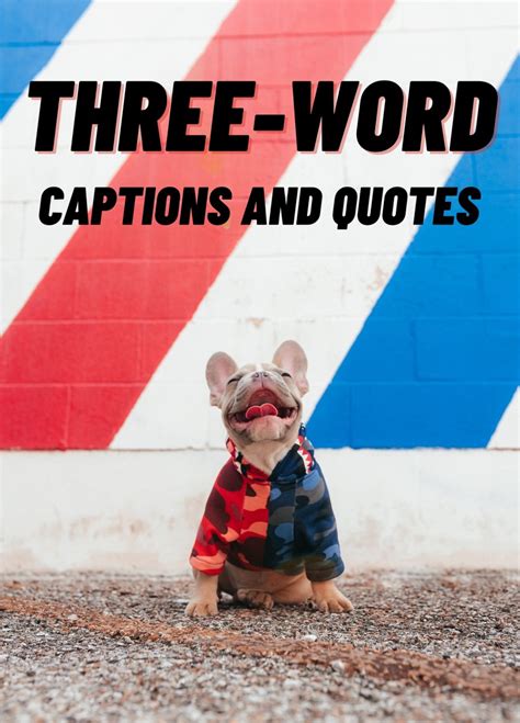 500+ Three-Word Quotes and Caption Ideas for Instagram - TurboFuture