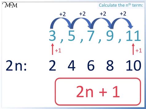 The Nth Term of a Sequence Is 25-3n - Sloane-has-Schroeder