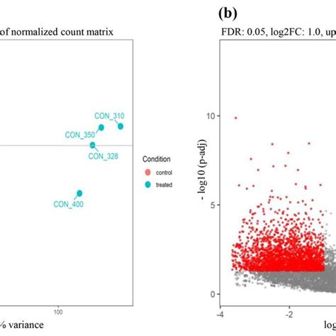 Two Dimensional Principal Component Analysis Pca Plot And Volcano