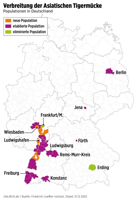 Berlin Dieses Mittel hilft gegen Asiatische Tigermücke News