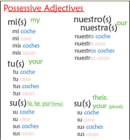 Possessive Adjectives Spanishtwo