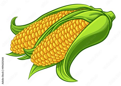 Sweet Corn Ear Maize Cob Cartoon Illustration Stock Vector | Adobe Stock