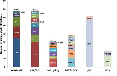 Comprehensive Genetic Testing Identifies Targetable Genomic Alterations In Most Patients With