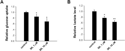 Shikonin Suppresses Tumor Cell Aerobic Glycolysis A Shikonin Sk