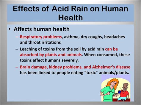 Acid Rain Effects On Human Health