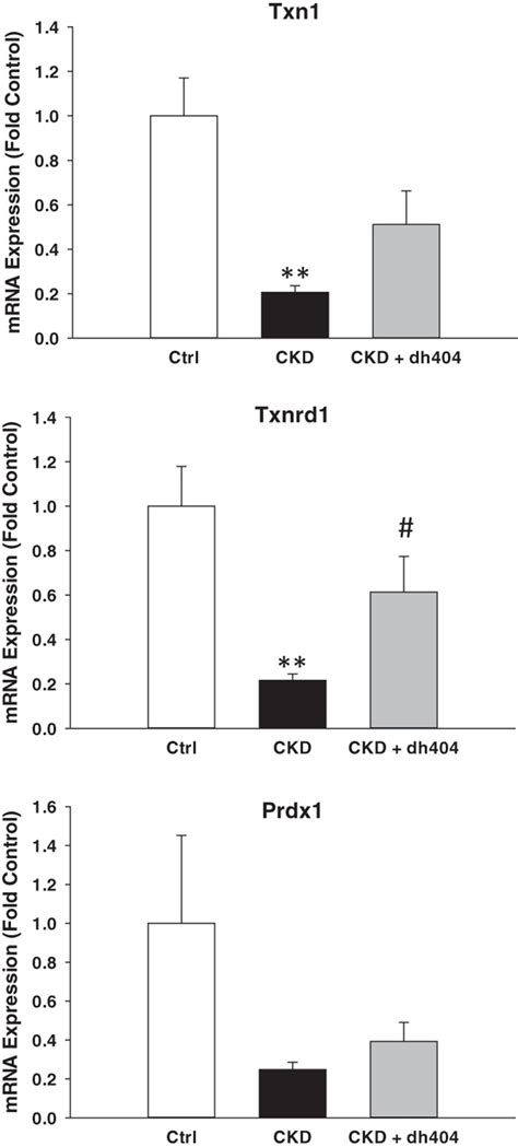 Messenger Rna Expression Of Peroxiredoxin Prdx Thioredoxin