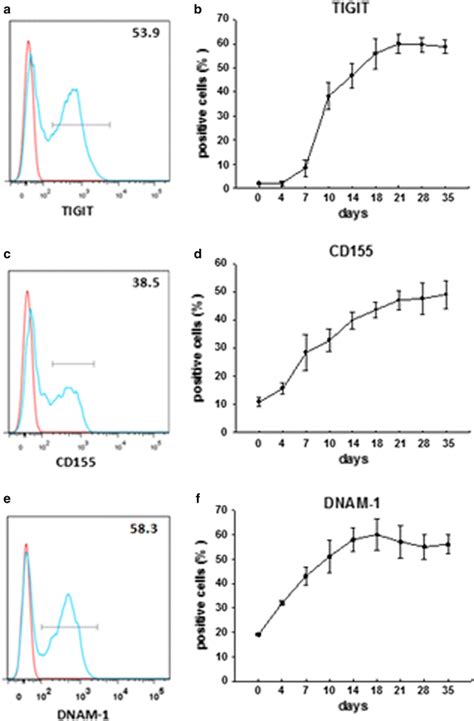 Expression Of TIGIT CD155 And DNAM 1 On CIK Cells CIK Cells Were