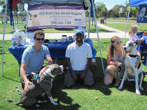 Vca Noahs Ark Animal Hospital Updated June 2025 20 Photos And 74
