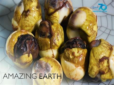 Amazing Earth: What are the health benefits of balut quail eggs or "pugolot?" | GMA Entertainment