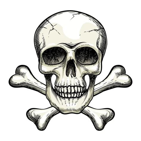 Human Skull And Crossbones Stock Vector Image By ©bourbon 88 158919262