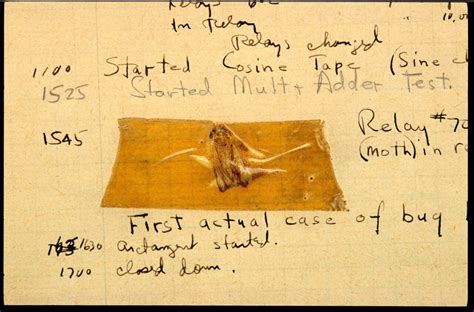 worlds  computer bug photo