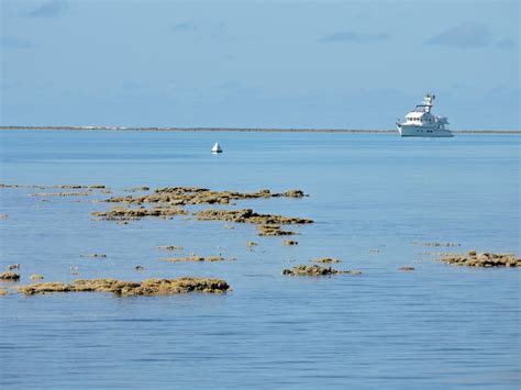 Southern Great Barrier Reef Mv Dirona